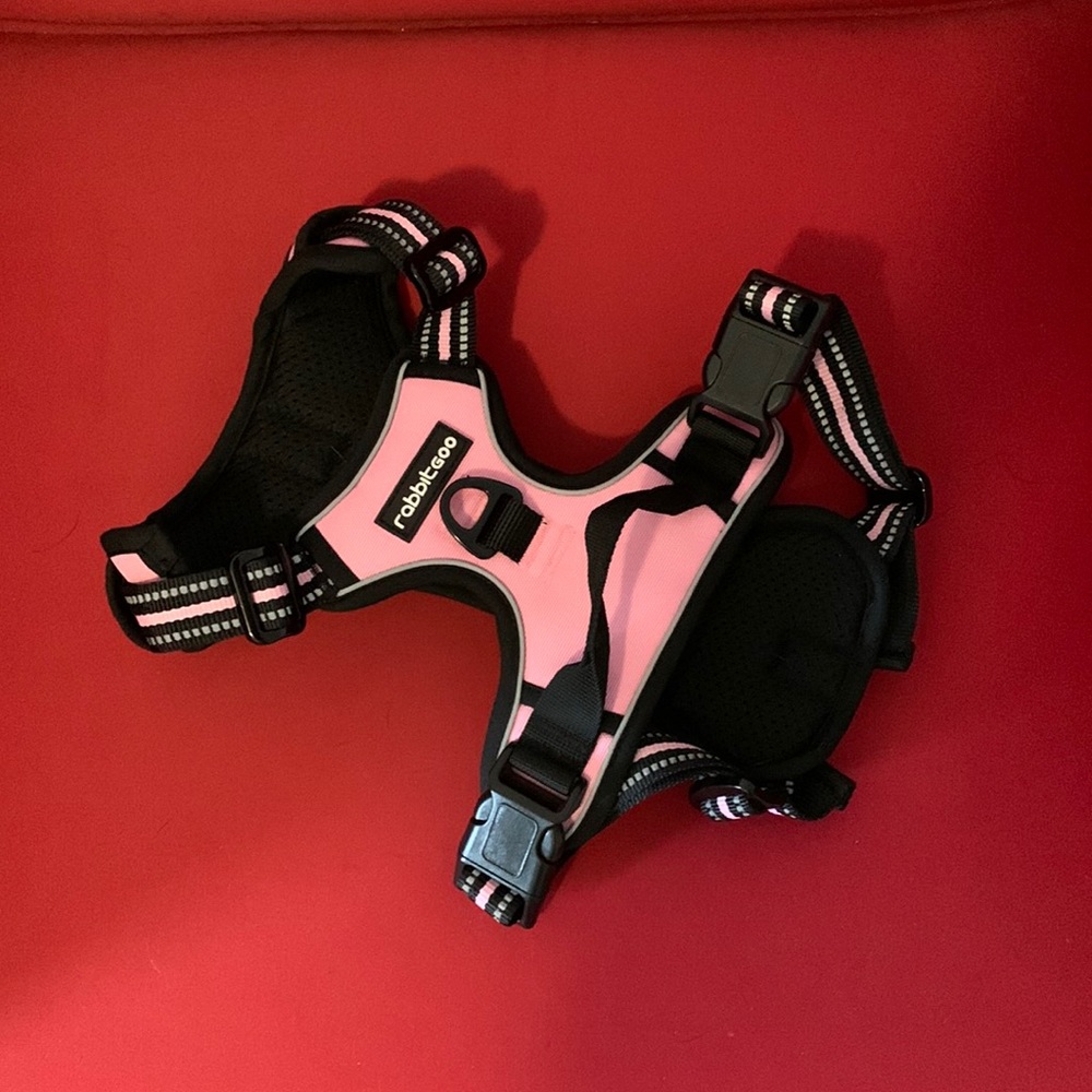 NWOT dog harness